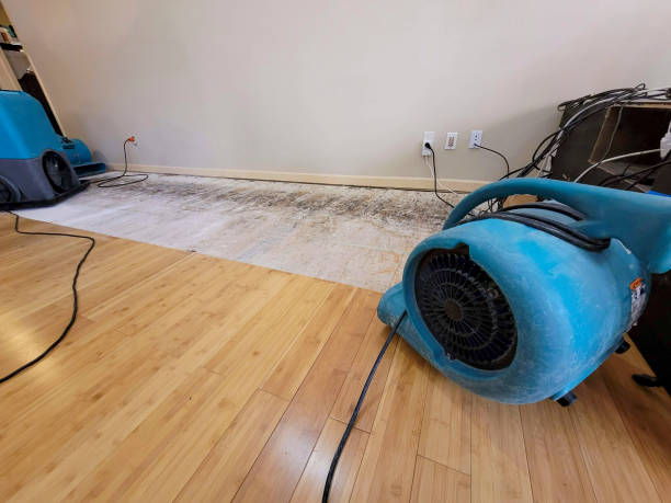 Professional Structural Drying technician working in Hammond, OR